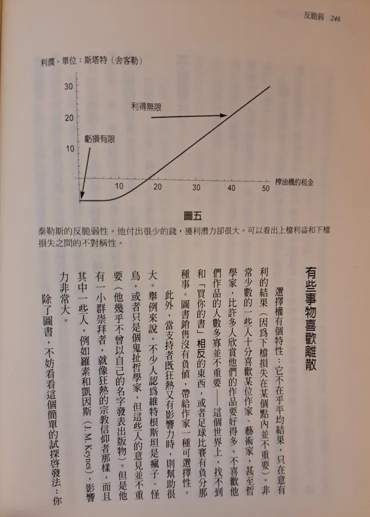 Call Option 反脆弱書之 P.246