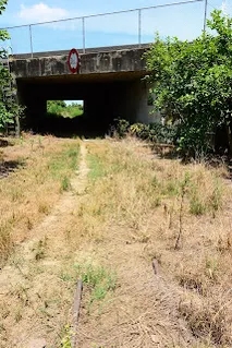 國道涵洞外(往長短樹方向拍攝)