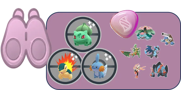 八週年懶人包 田野調查