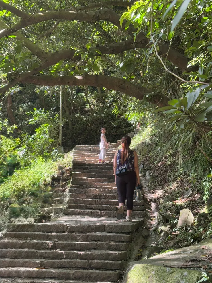 硬漢嶺步道以石階為主，且全程幾乎都在樹蔭下