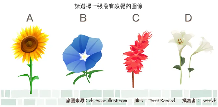 如果不知道該如何選擇，可以閉上眼睛，睜開的第一眼看到的就是了