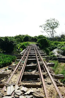 往東山方向拍攝(7388)