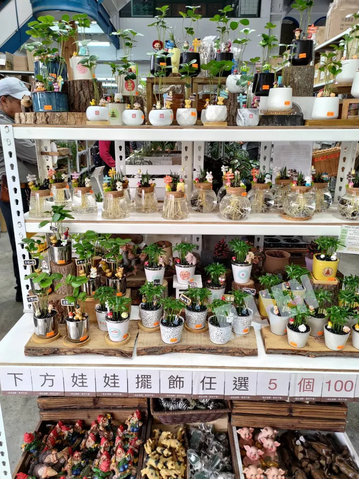 作者拍攝