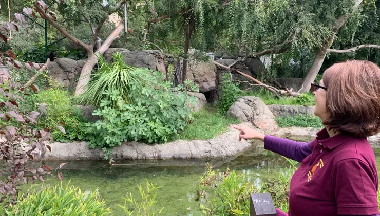 布魯寧博士的動物園導覽