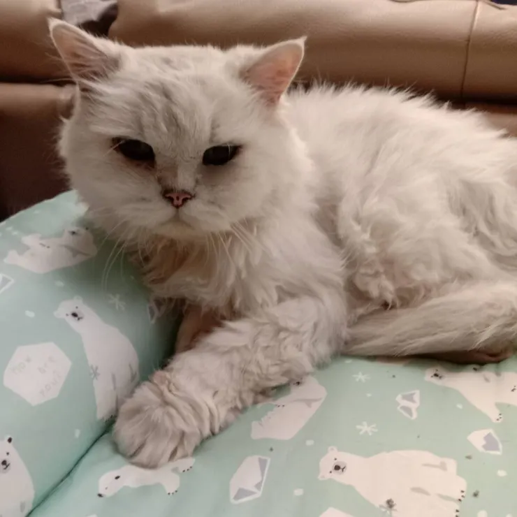 我們對蒼太的愛一輩子不會改變