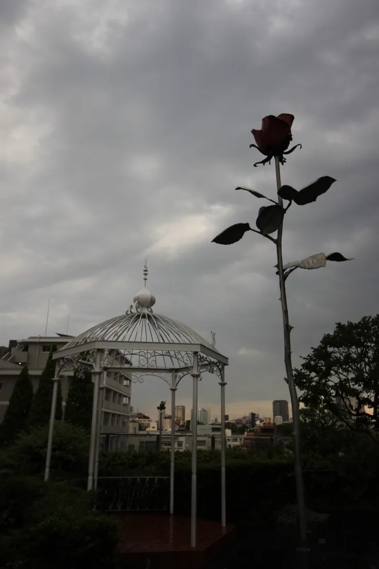 玫瑰還在，但說出它的人已經不在。我們還記得他是誰嗎？攝於東京