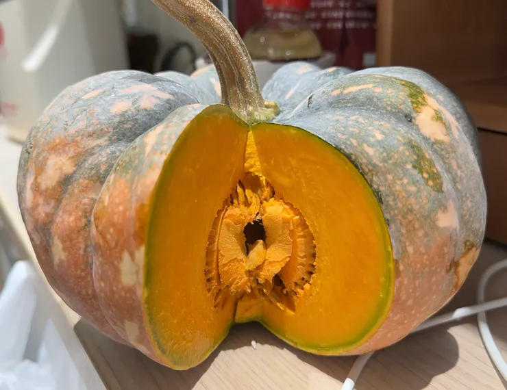 南瓜大特寫，煮粥超好吃！