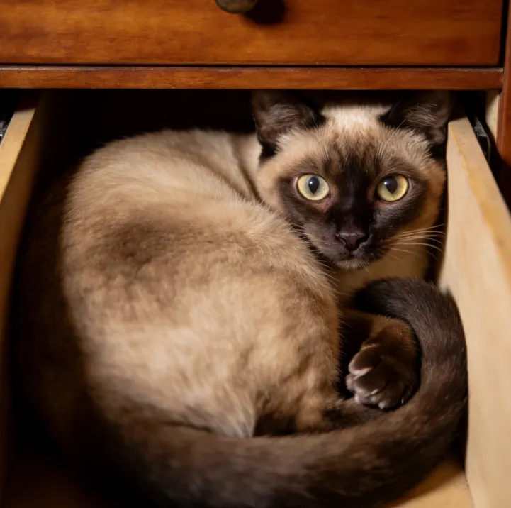 很多人以為，亂是因為你懶，其實是「空間分配出了問題」。