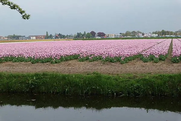 因為人潮和時間關係我們沒登風車，這是在河岸旁拍攝的照片