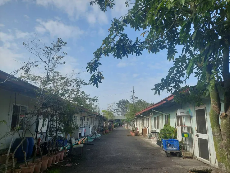 長青村的組合屋