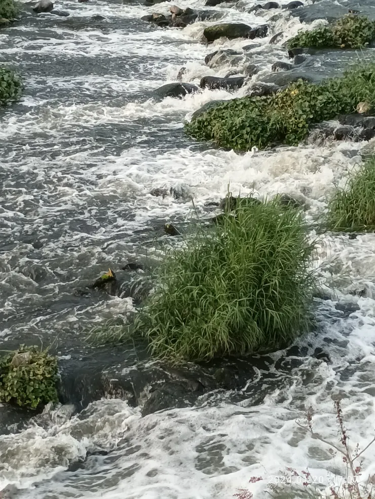 濤響石溪心不動