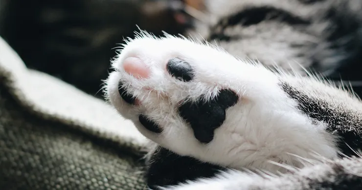 Photo by Erik-Jan Leusink on Unsplash