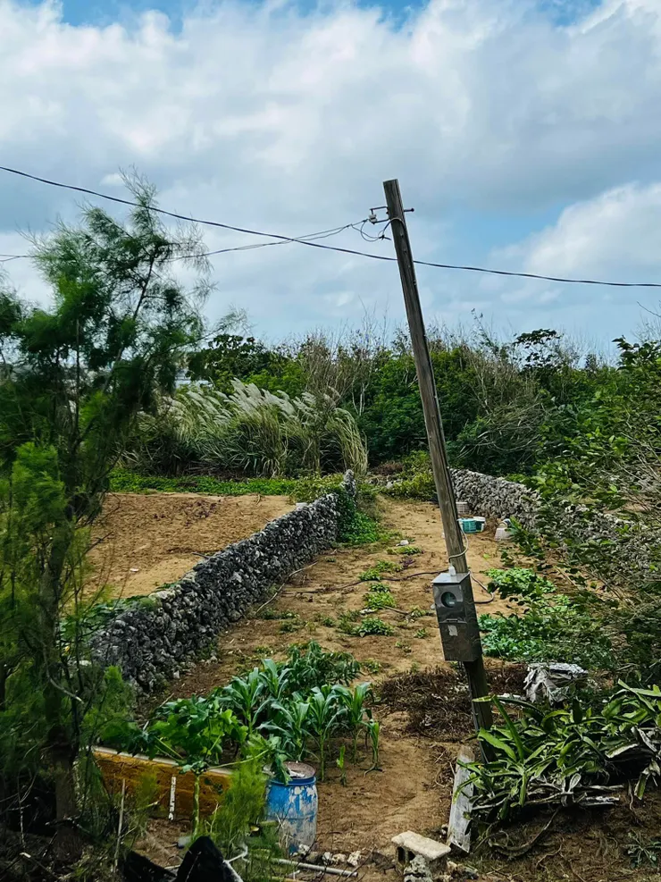 冬天才是種菜季節,用咾咕石圍牆、各種方式為菜擋風