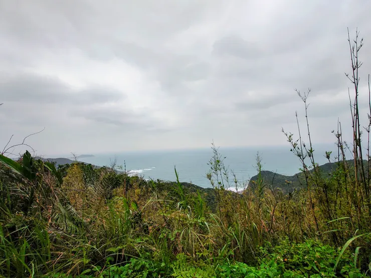 因此我決定站上觀測台旁邊的山坡