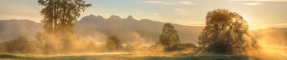 Weipin Chen的沙龍