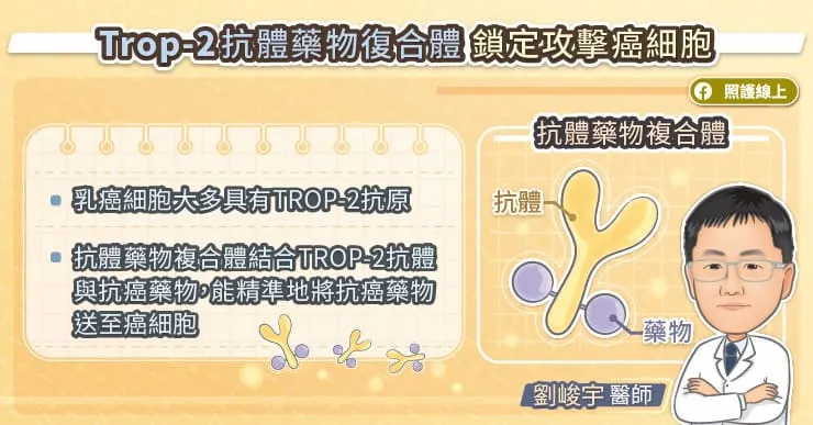 Trop-2抗體藥物複合體鎖定攻擊癌細胞