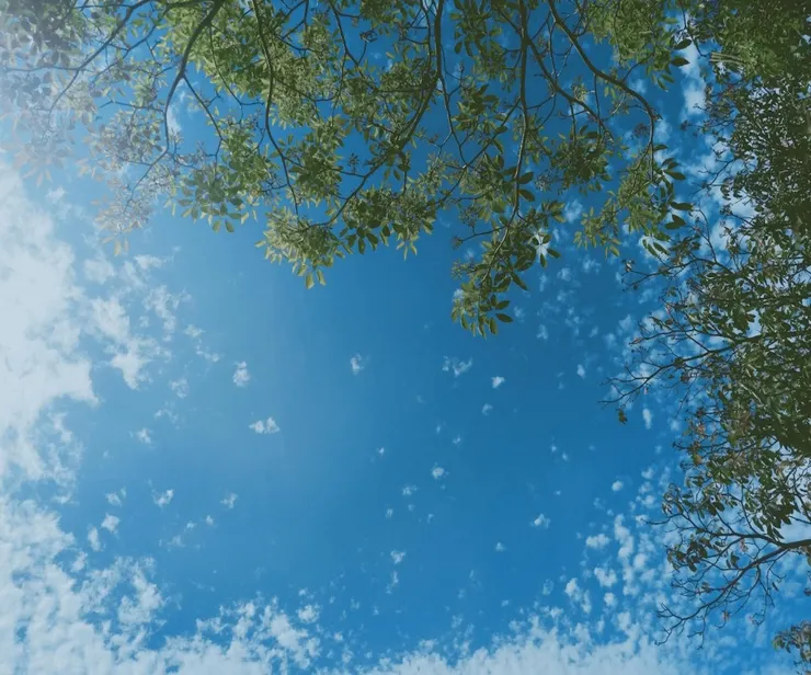 忽然而至的柔軟 落在我的指 我的心上 那驚天動地的震動 就好像 全世界 僅剩下 你和我 Grab the moment-I.C.LIN