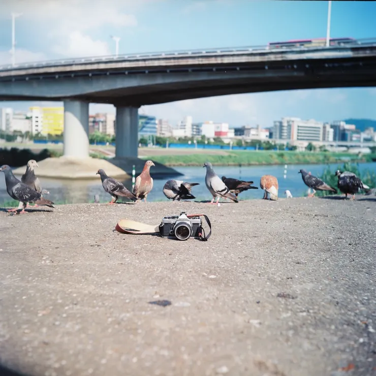 RICOHFLEX - Ektar100