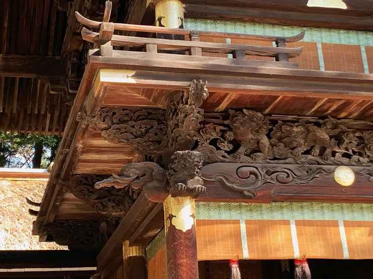 Zora 攝於諏訪大社下秋宮，2024 / 11 / 24。