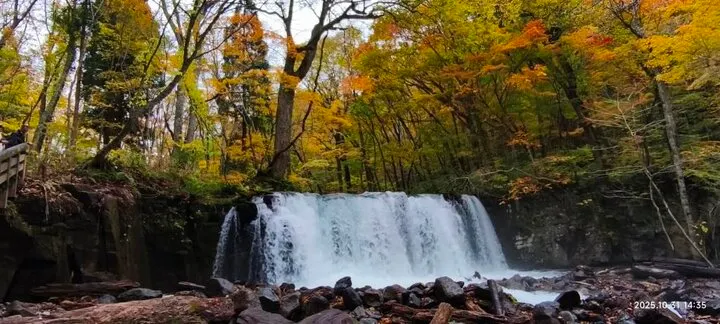 銚子瀑布(奥入瀬渓)