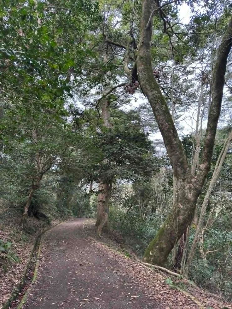 神社旁的小步道