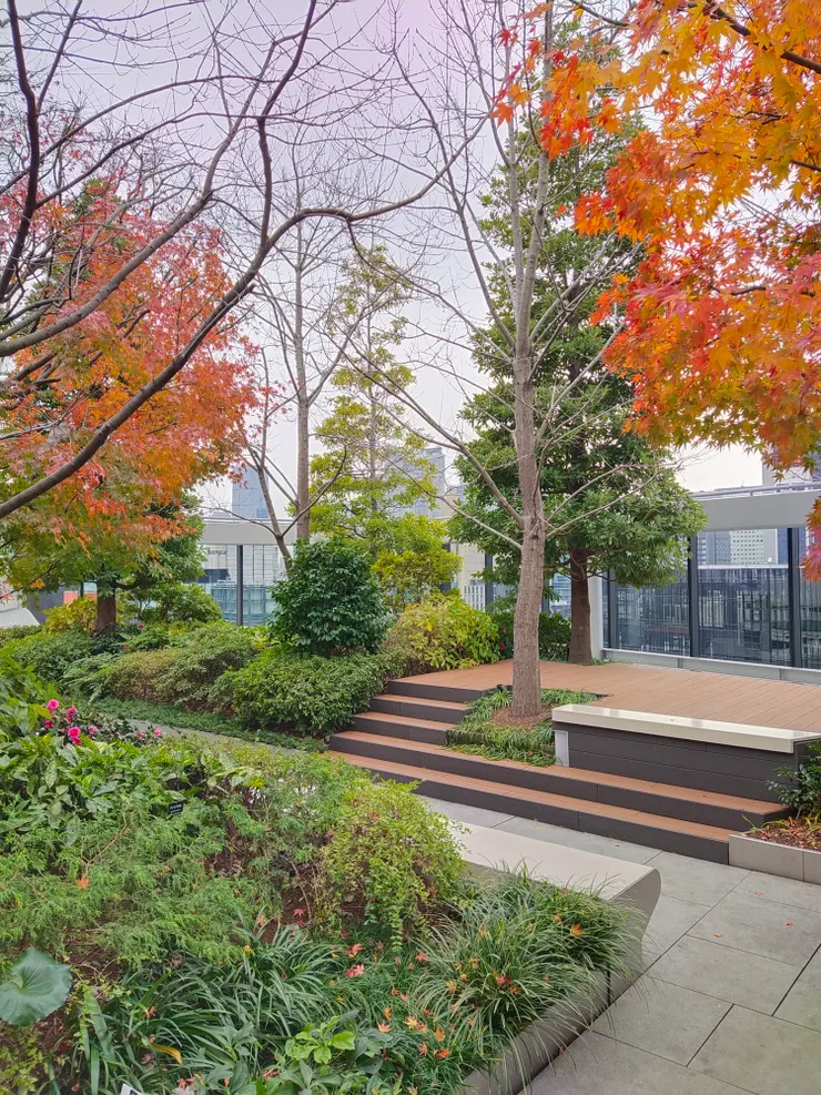 精緻的綠意設計