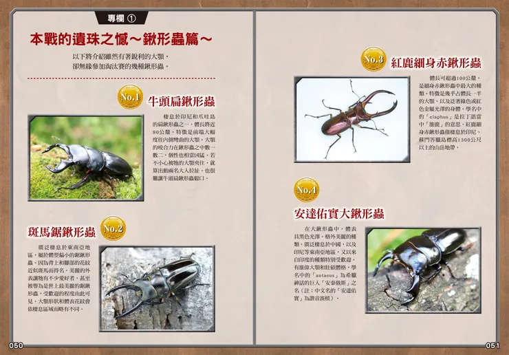 結合真實昆蟲圖片，補充新的知識｜《最強戰鬥２：鍬形蟲大王×獨角仙大王超級大戰圖鑑》｜小角落文化出版