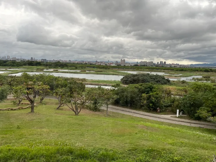 自然中心二樓俯瞰濕地