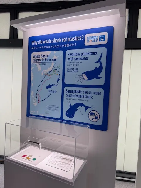 海洋教育SDGs,photo by bookarchery