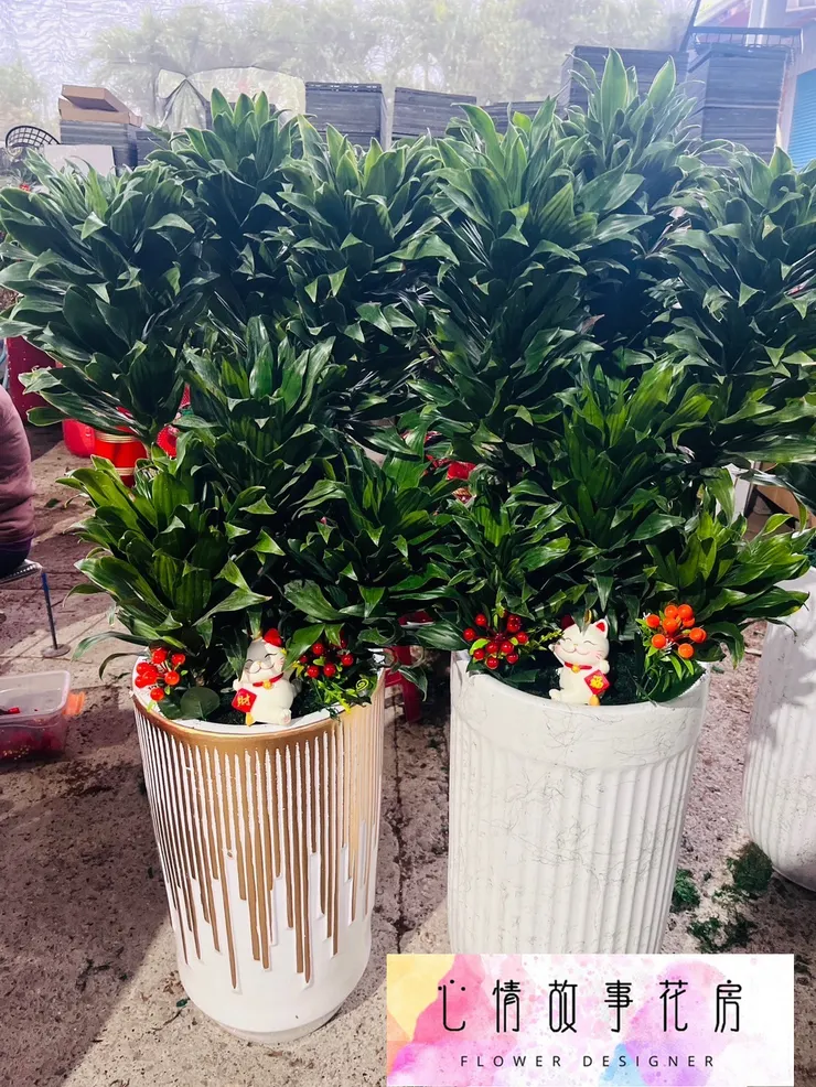 心情故事花房開工大吉！感謝支持，訂單滿滿，服務更升級！