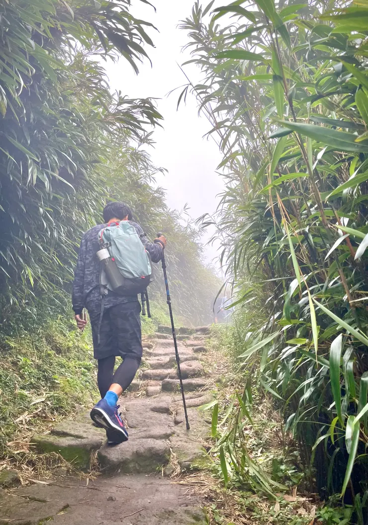 小油坑箭竹林步道