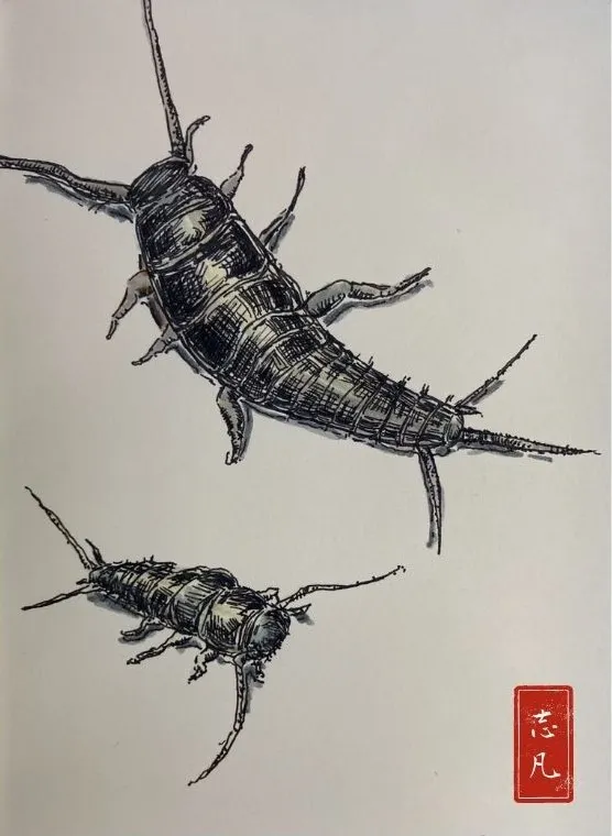 「無常」就是有喜樂就有悲苦:你持大麻吸得忘情,形象卻在搜索下崩毀