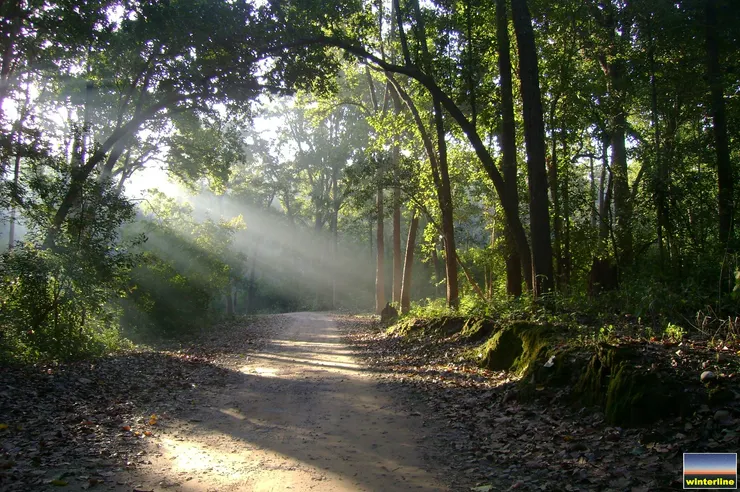 （Winterline Nature Trust 提供）