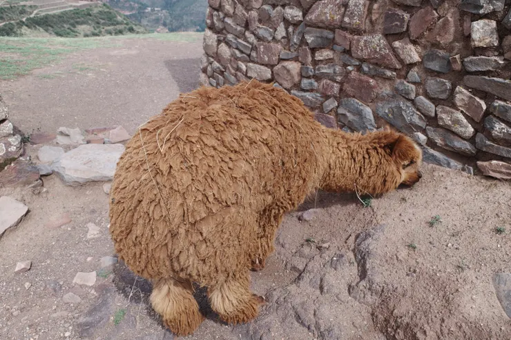 這是什麼姿勢啦