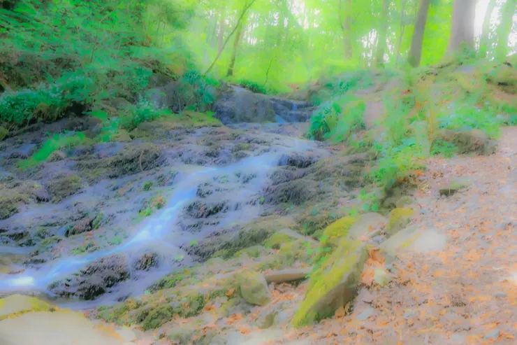 流過公園樹林中的一條小溪流