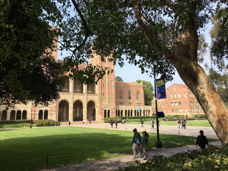 美國加州大學洛杉磯分校（University of California, Los Angeles, UCLA）