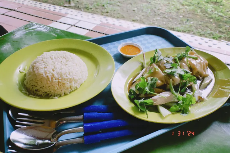 招牌雞飯(L)(圖片來源:本文作者)