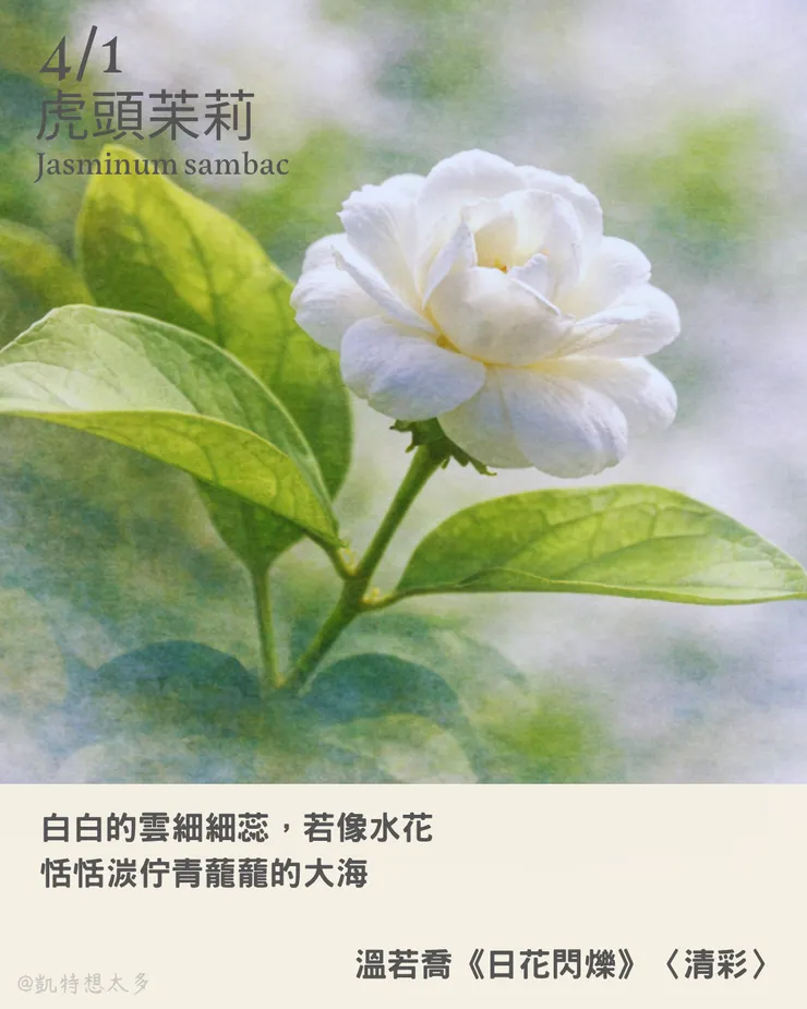 4 月 1 日｜虎頭苿莉 × 溫若喬《日花閃爍》〈清彩〉