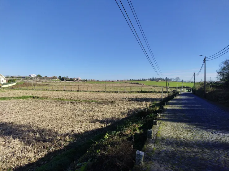 超市比日本壓縮機還要稀少