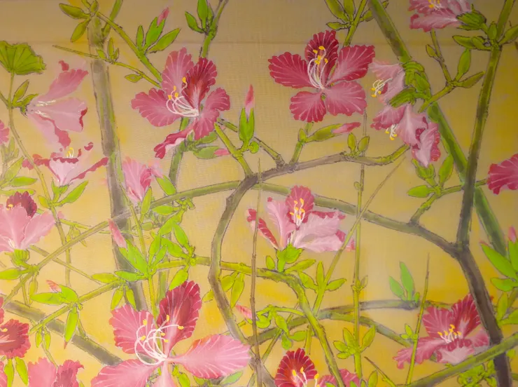 〈暖春三月〉局部－羊蹄甲