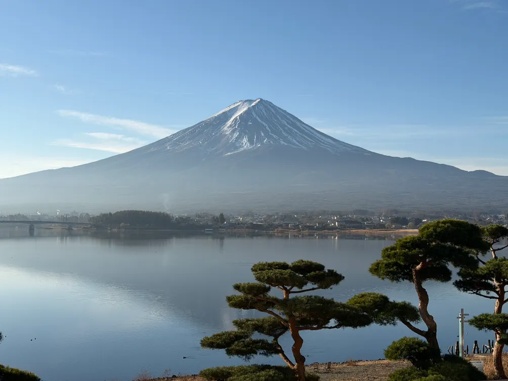 第二人生～散步走