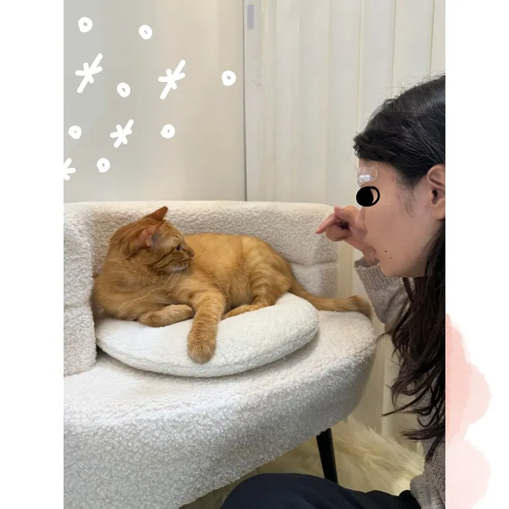 在跟橘貓小員工抗議坐到我的椅子