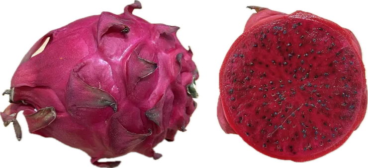 之前寫科學傳播文章拍的紅龍果