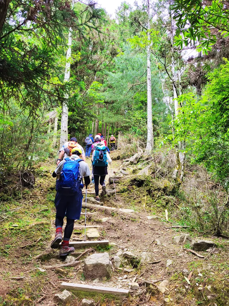步道為枕木，碎石及石階的Z字型陡上路徑