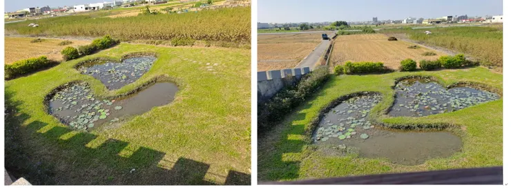 冬日的雙心池塘