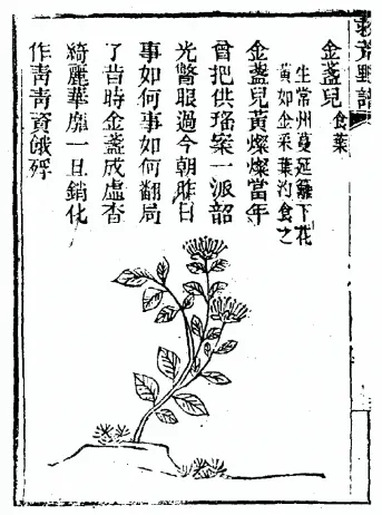 《救荒野譜》,編纂於明末饑荒頻繁的年代,針對廣大的平民百姓而寫。為了讓不識字或識字不多的災民能快速記住植物特徵、生長地點及食用方法,作者將這些知識編寫成朗朗上口的歌謠形式。