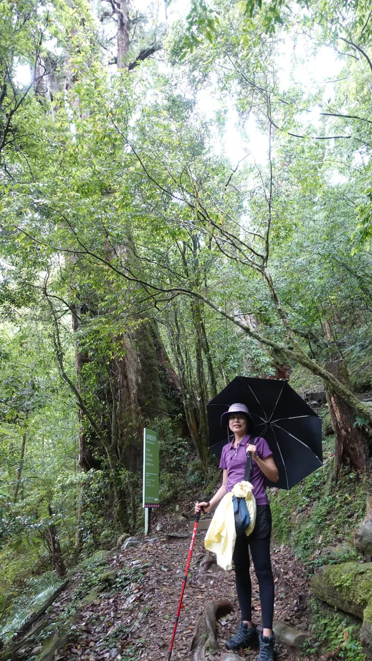 雨停了