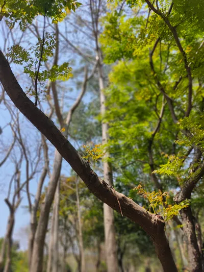 不用強迫自己追上別人