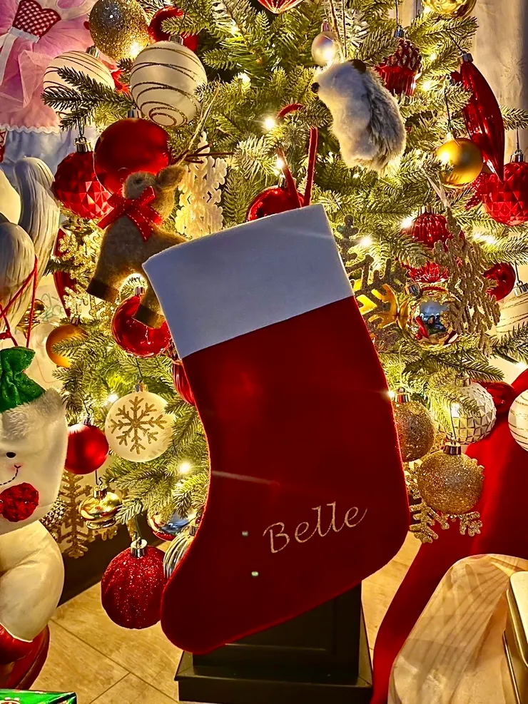 另一隻特製的聖誕襪