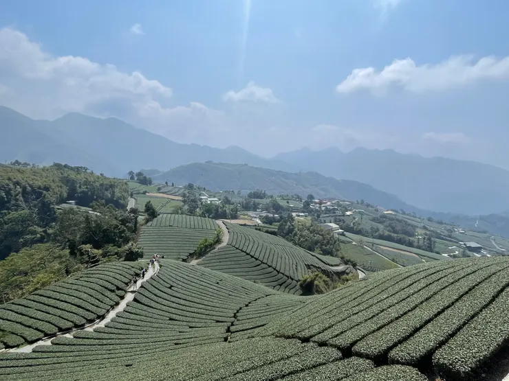 1314觀景台-御茶園廣告拍攝地